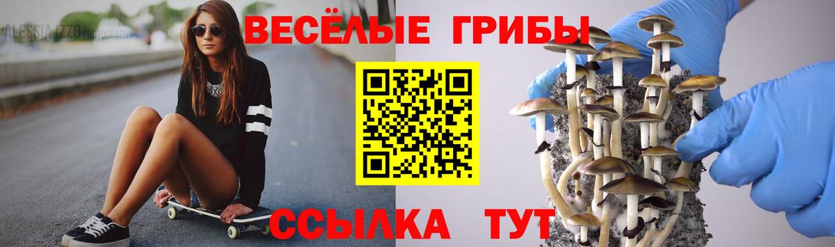 Псилоцибиновые грибы Psilocybine cubensis  Галлюциногенные грибы GOLDEN TEACHER  Вход с VPN  Мелеуз 